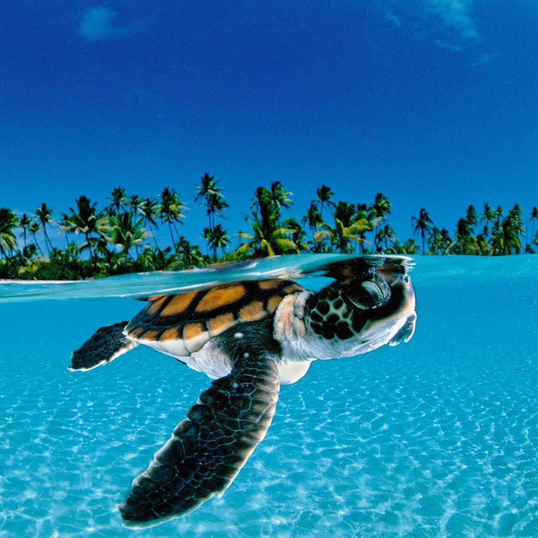 Top 7 Ocean Photographers