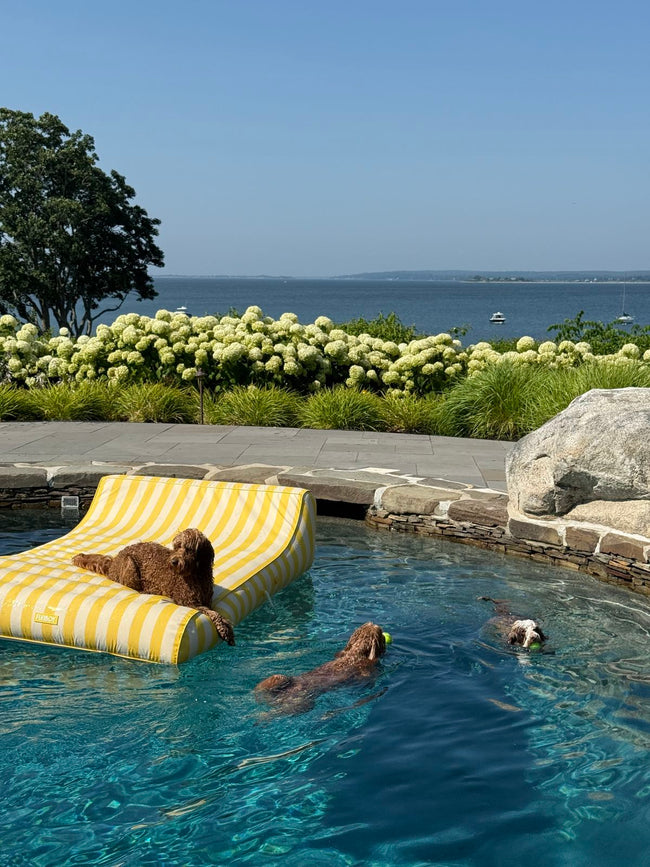 Ultimate Pool Bag Essentials for a Perfect July Day