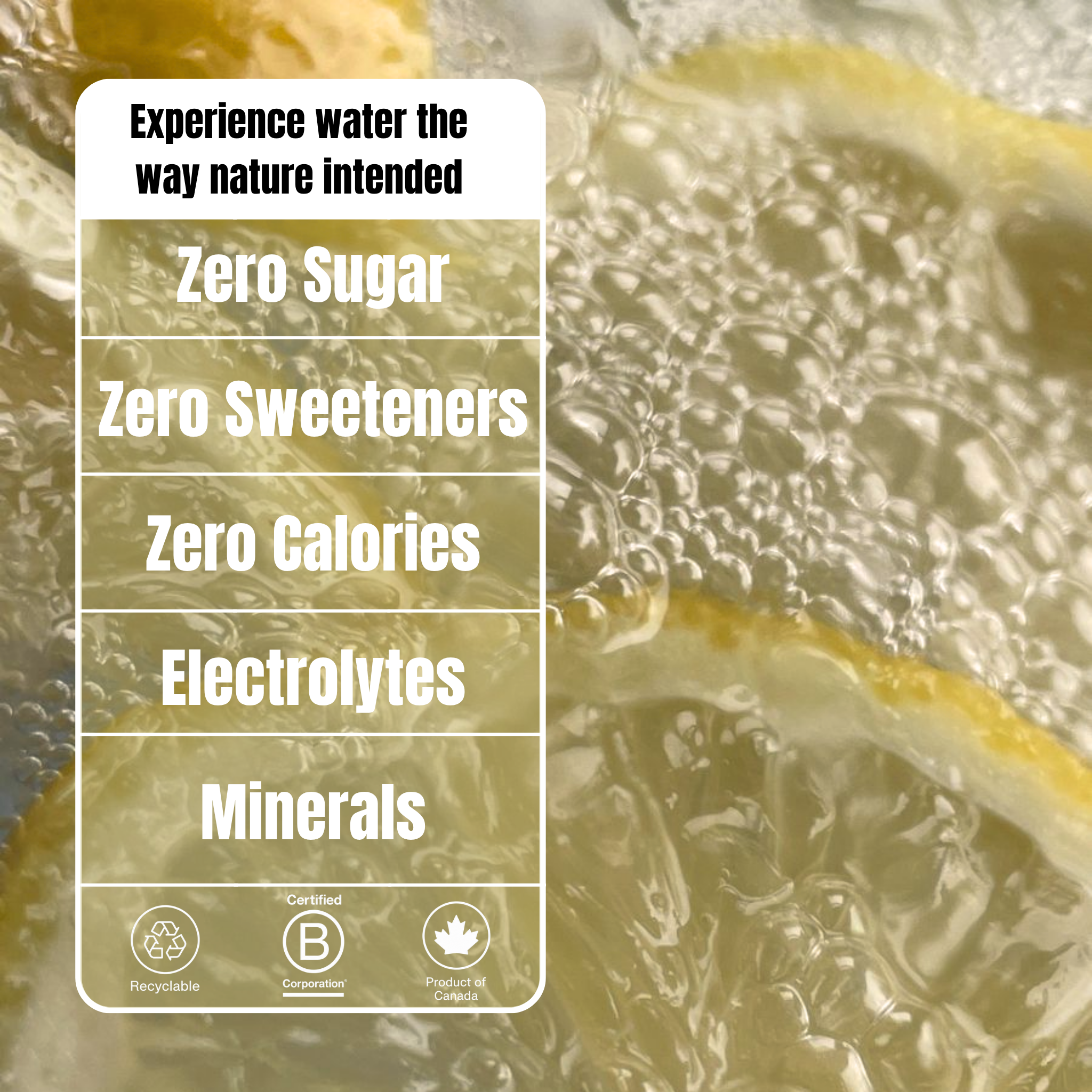 24 pack of Sparkling Lemon + Ginger
