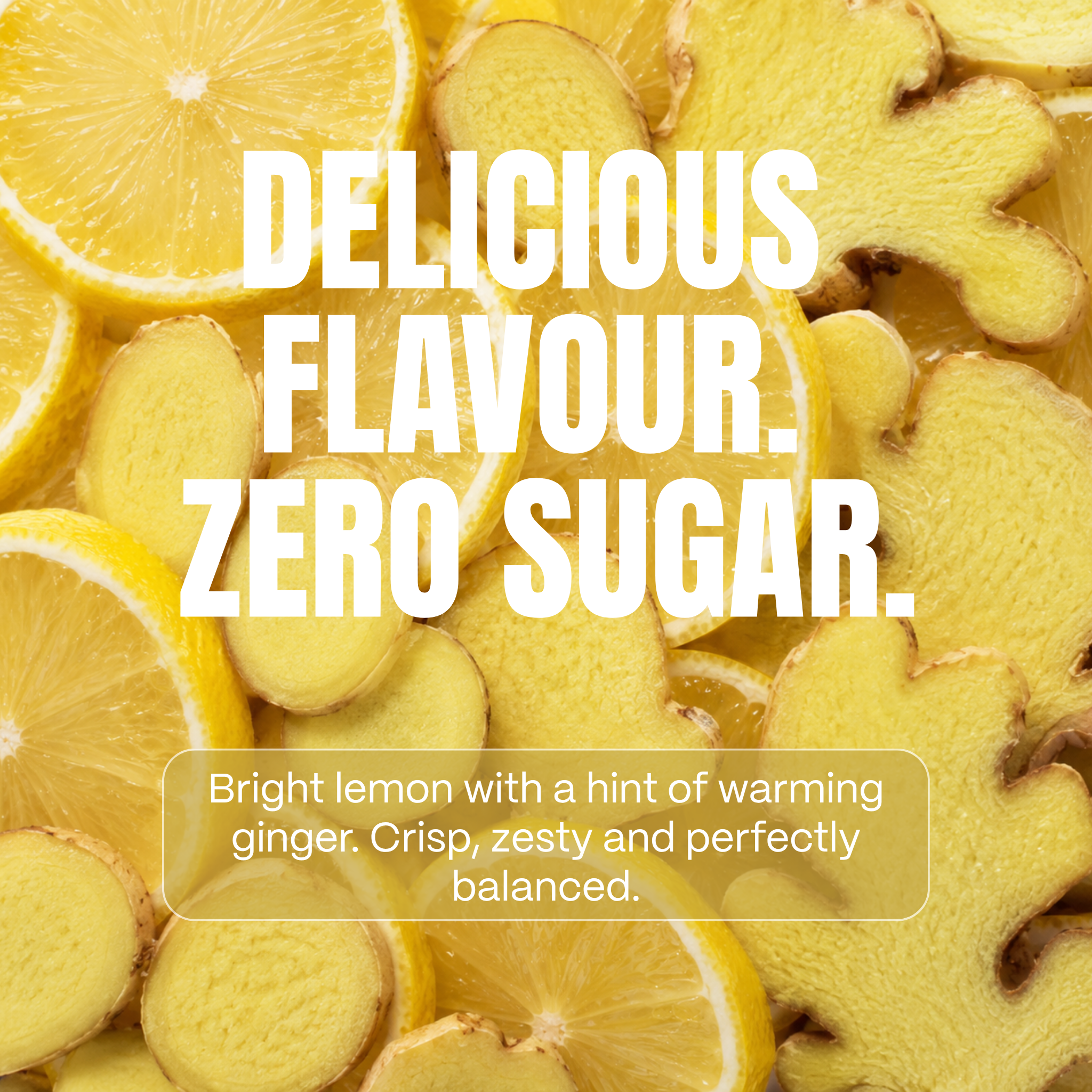 24 pack of Sparkling Lemon + Ginger