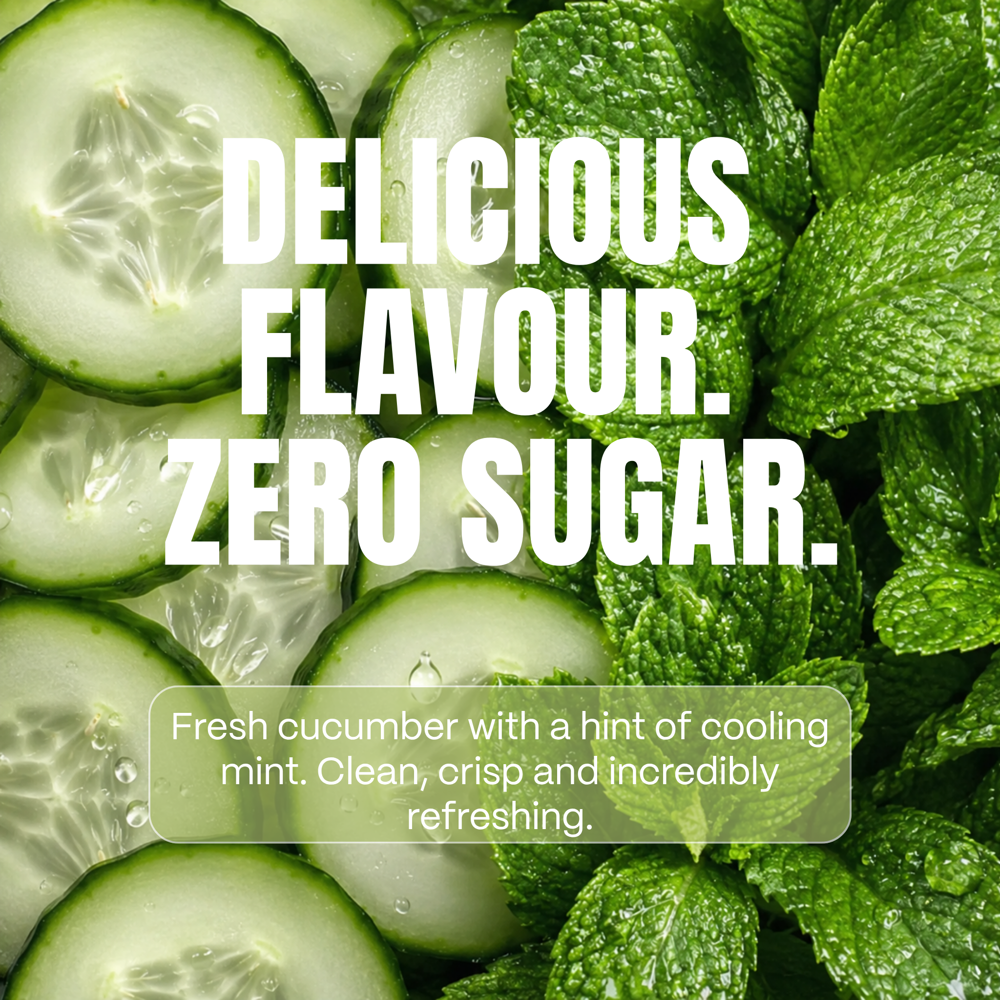 12 pack of 500ml - Cucumber + Mint