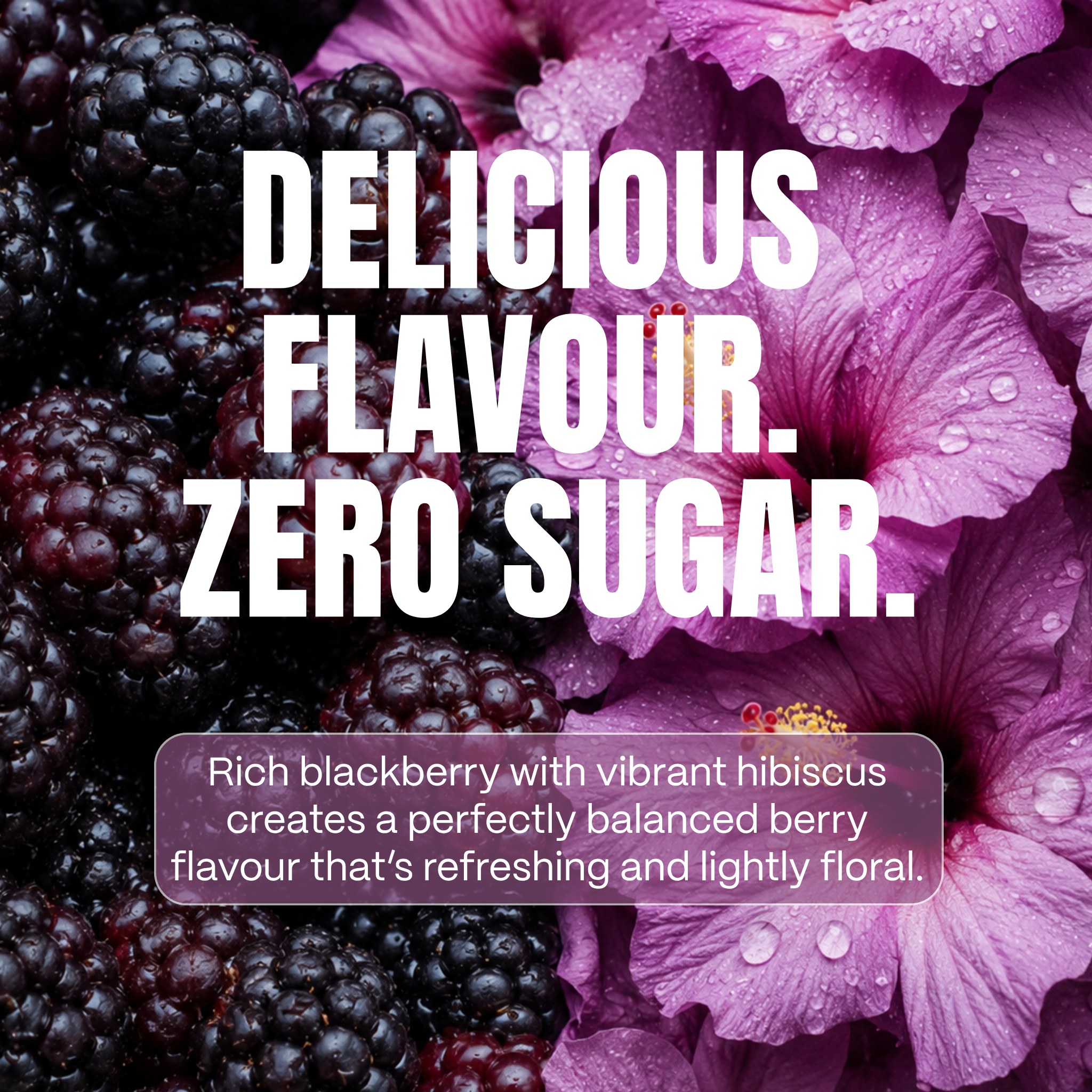 12 pack of 500ml - Blackberry + Hibiscus