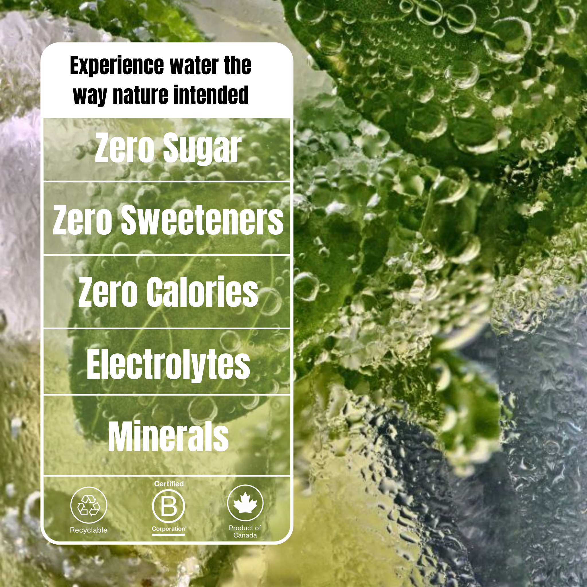 12 pack of 500ml - Cucumber + Mint
